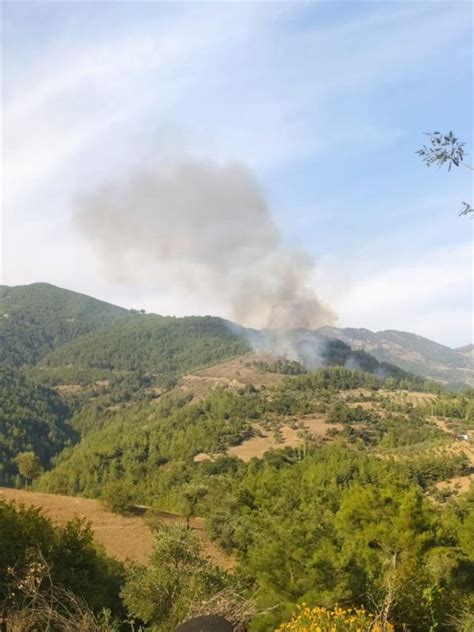 A­d­a­n­a­­d­a­ ­Ç­ı­k­a­n­ ­O­r­m­a­n­ ­Y­a­n­g­ı­n­ı­n­a­ ­M­ü­d­a­h­a­l­e­ ­E­d­i­l­i­y­o­r­